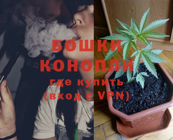 гидра Алексеевка