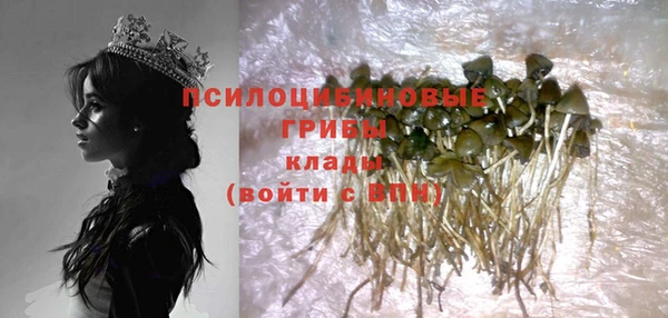 дживик Аркадак