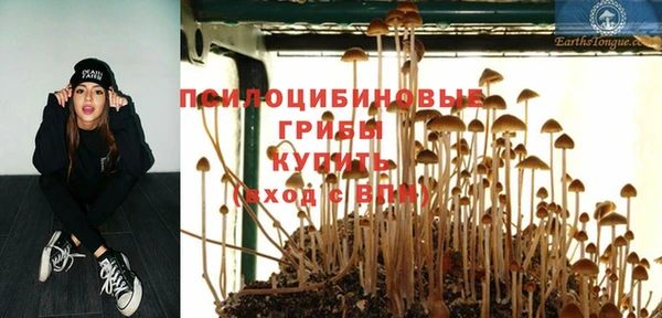 дживик Аркадак