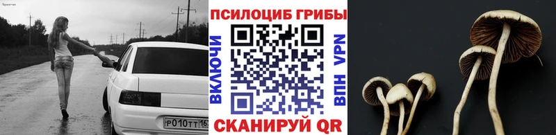 кракен ссылки  Бабаево  Псилоцибиновые грибы Psilocybine cubensis  где купить наркоту 